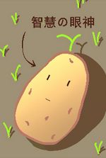 The Hero Turned Into A Potato And The World Fell To Ruin